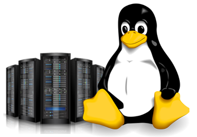 Linux web Hosting